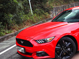 2015款 Mustang 2.3T 50周年纪念版