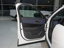 2026�� �������} 250PS S