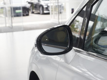 2025 D PHEV FHi