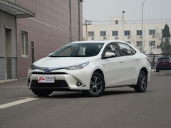 车身外观图片