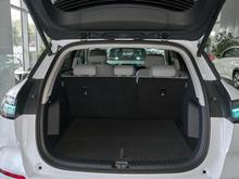 2026�� ��ʨ06 EV 710Զ����